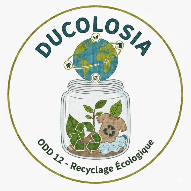 Visuel du projet