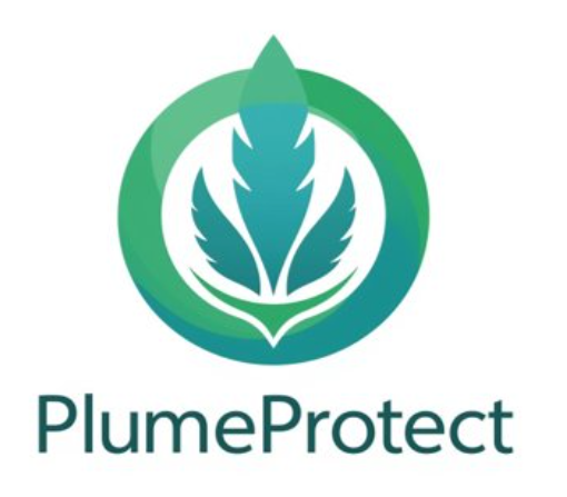 Visuel du projet